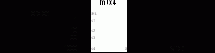 MUX