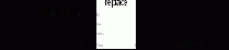 REPLACE